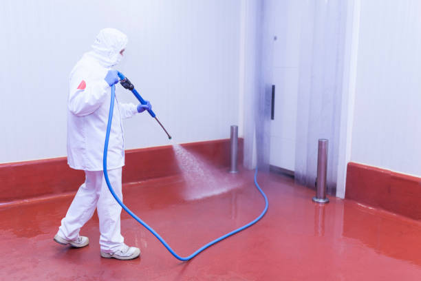 Best Winterizing Services  in Mentone, CA