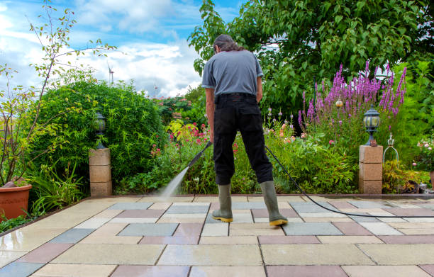 Best Driveway Pressure Washing  in Mentone, CA